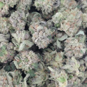 Rockstar Marijuana Strain