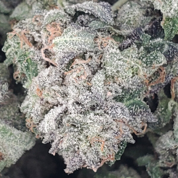 Rockstar Marijuana Strain
