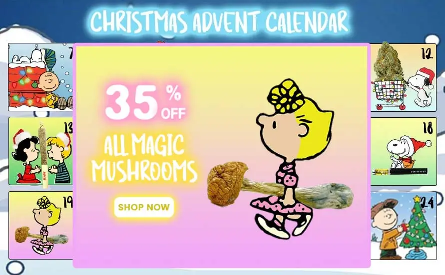 35% off all Magic Mushroom products