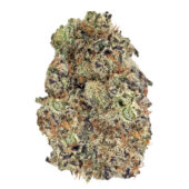 Alien Cookies Marijuana Strain