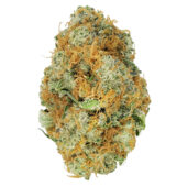 Mandarin Dreams Marijuana Strain