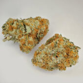 Mandarin Dreams Marijuana Strain