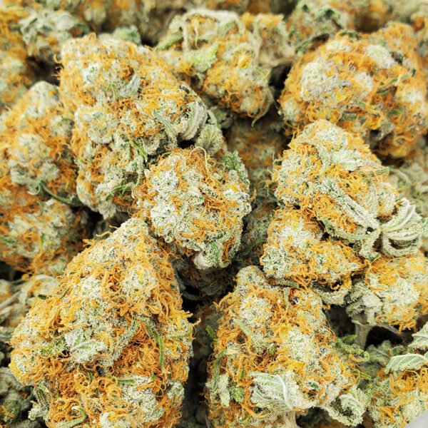 Mandarin Dreams Marijuana Strain