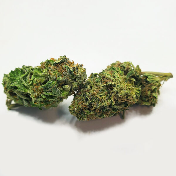 Alien Cookies Cannabis