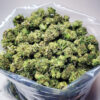 Alien Cookies Cannabis