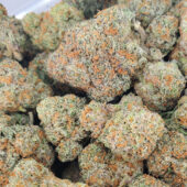 Peanut Butter Gelato Marijuana Strain