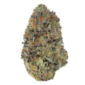 Pink Kush Marijuana Strain