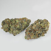 Pink Kush Marijuana Strain