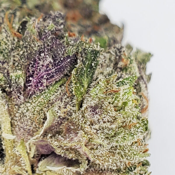 Pink Kush Marijuana Strain