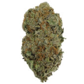 Blue Dream Cannabis
