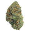 Pink Gas Marijuana Strain