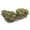 Pink Gas Marijuana Strain
