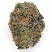 Grease Monkey Marijuana Strain