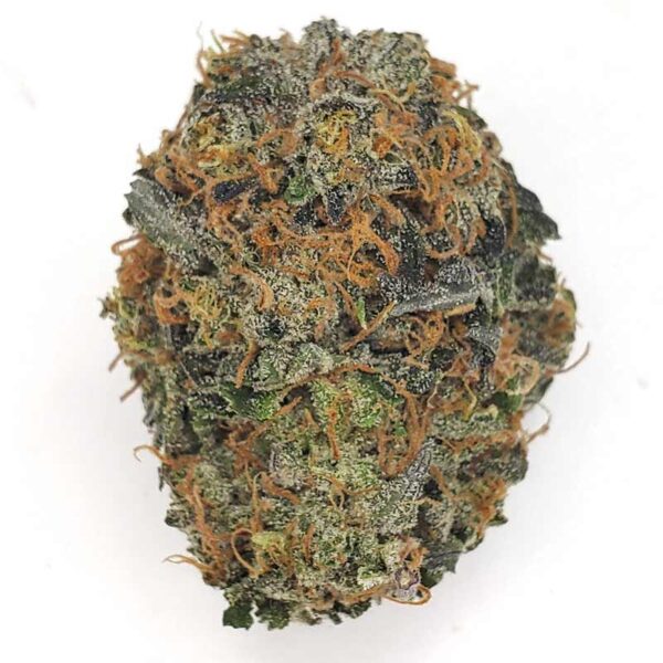 Grease Monkey Marijuana Strain