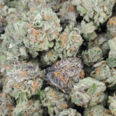 Gelato Marijuana Strain