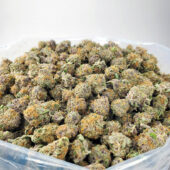 Mendo Breath Marijuana Strain