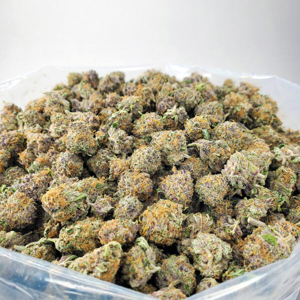 Mendo Breath Marijuana Strain