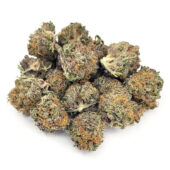 Mendo Breath Marijuana Strain