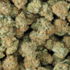 Sunset Sherbet Marijuana Strain