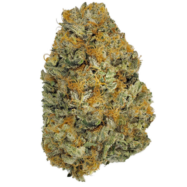 Blue Cheese Marijuana Strain