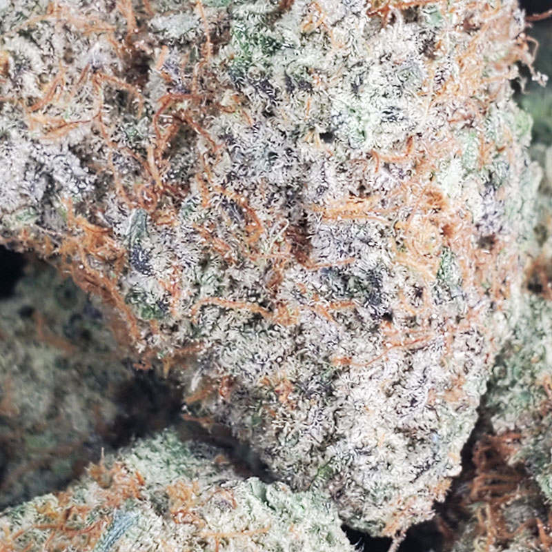 Cherry Guava Marijuana Strain