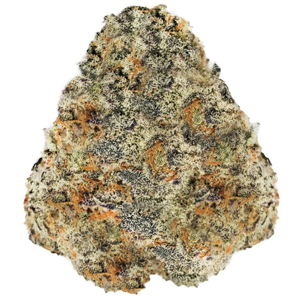 Grape Gatsby Marijuana Strain