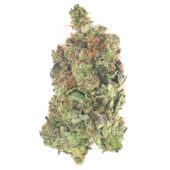 Island Pink Kush Marijuana Strain