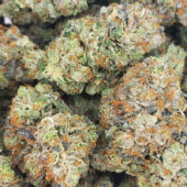 Island Pink Kush Marijuana Strain