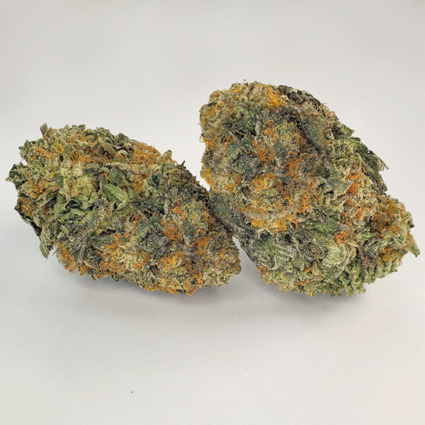 Violator Kush Marijuana Strain