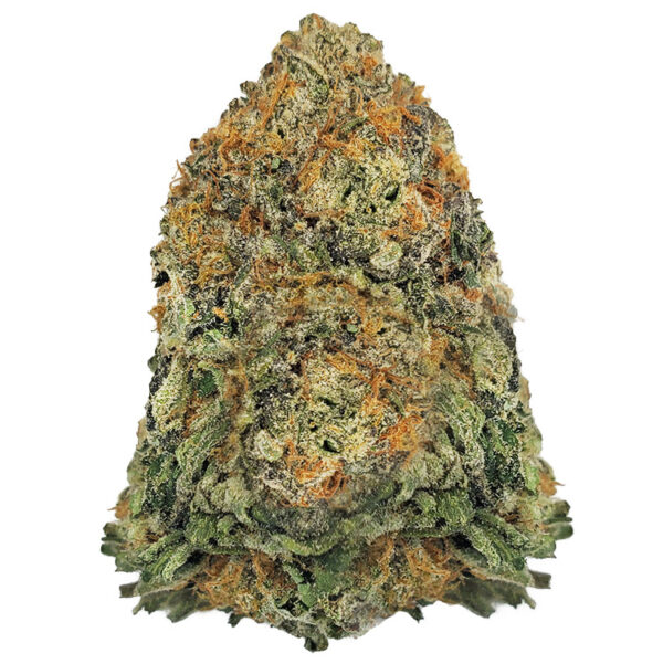 Violator Kush Marijuana Strain