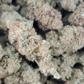 Apple MAC Marijuana Strain