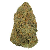 Big Buddha Cheese Marijuana Strain