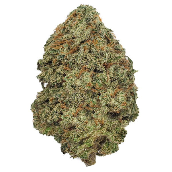 Blue Dream Marijuana Strain