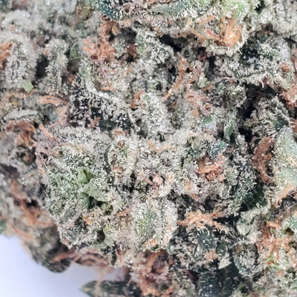 Pink Bubba Marijuana Strain