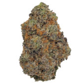 Platinum Purple Kush Marijuana Strain