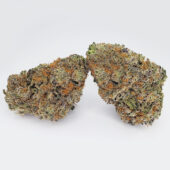 Platinum Purple Kush Marijuana Strain
