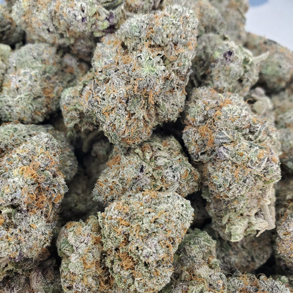 Platinum Purple Kush Marijuana Strain