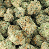 Hawaiian Dream Marijuana Strain