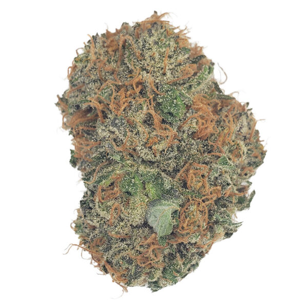 Hindu Kush Marijuana Strain