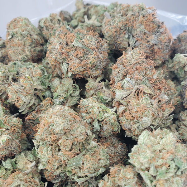 Hindu Kush Marijuana Strain