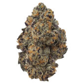 Hindu Kush Marijuana Strain