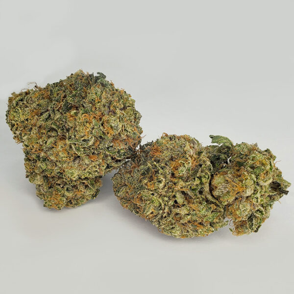 Master Kush Marijuana Strain