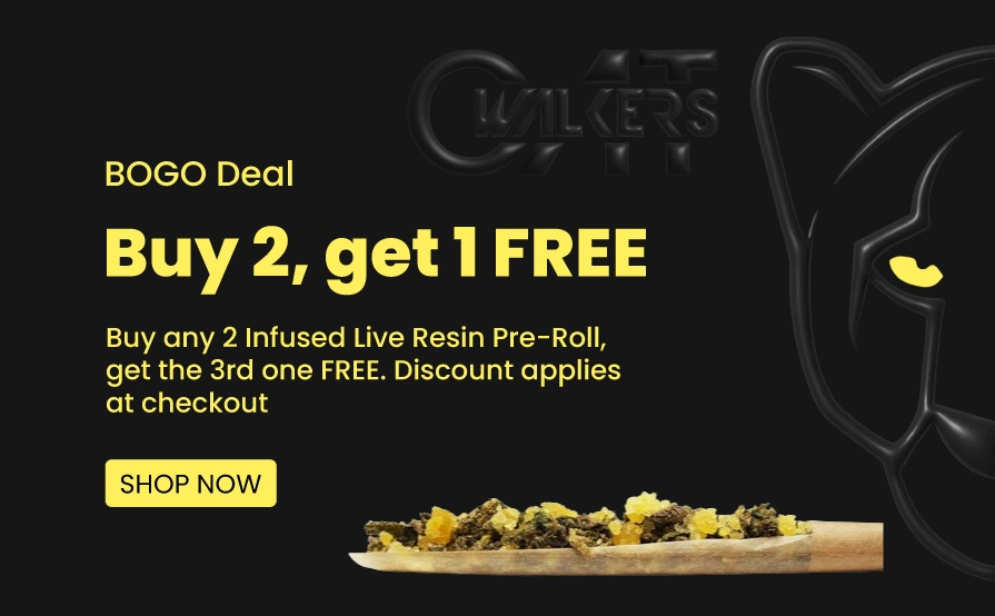 Infused live resin pre-roll Sale