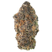 Black Diamond Marijuana Strain