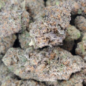 Black Diamond Marijuana Strain