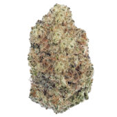 MAC Stomper Marijuana Strain