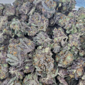 Purple Haze Marijuana Strain