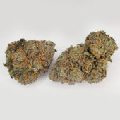 Purple Nuken Marijuana Strain