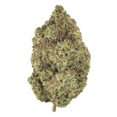 Gelato Runtz Marijuana Strain