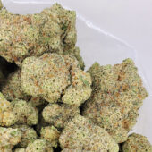 Gelato Runtz Marijuana Strain